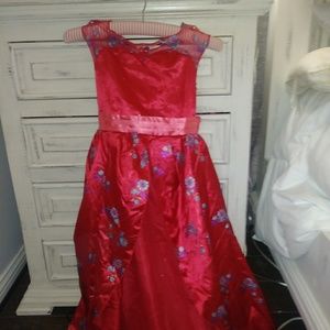 Princess elena of avalor costume dress